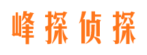 鹤岗市婚外情调查